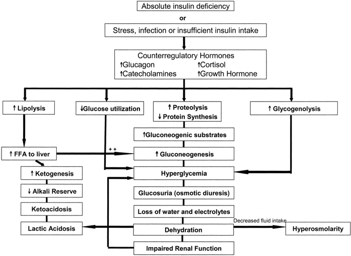 Diabetic Ketoacidosis Management Teachmepaediatrics