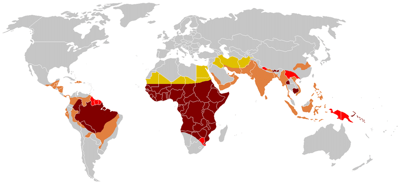 Global distribution of Sickle Cell Disease